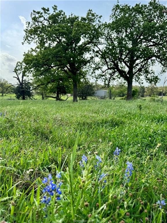 18.76 acres in Brazos County - photo 37