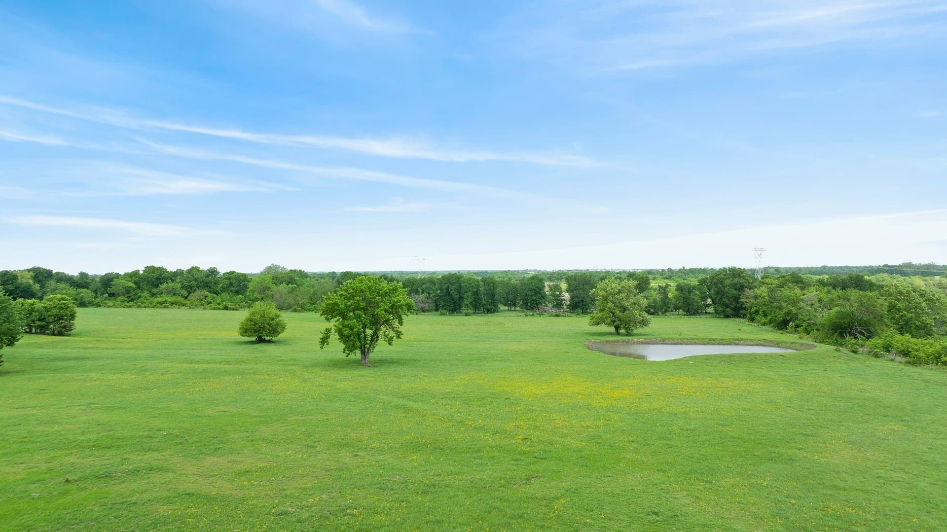 30 acres in Lamar County - photo 27