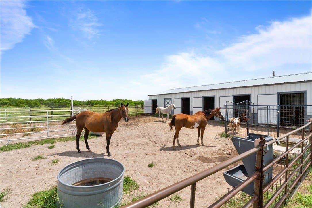 39.7 acres in Kleberg County - photo 16