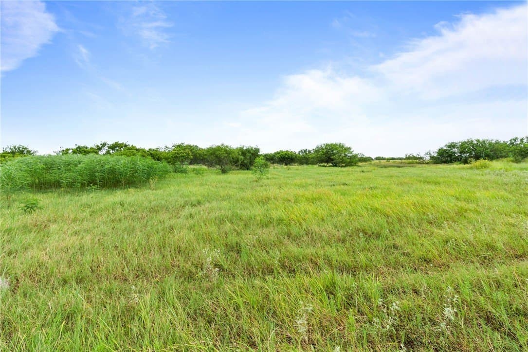 39.7 acres in Kleberg County - photo 24