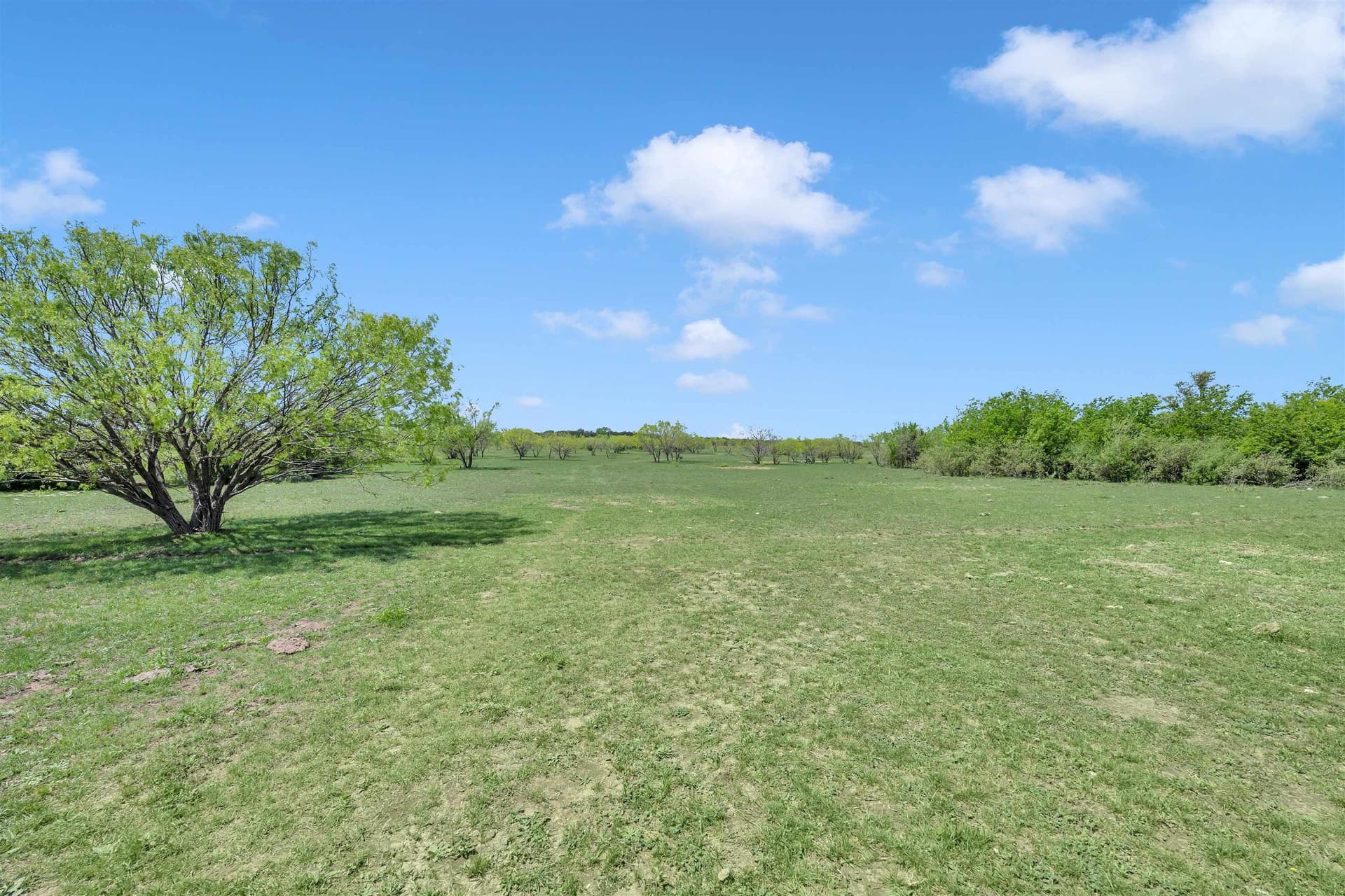17.68 acres in Burnet County gallery image 3