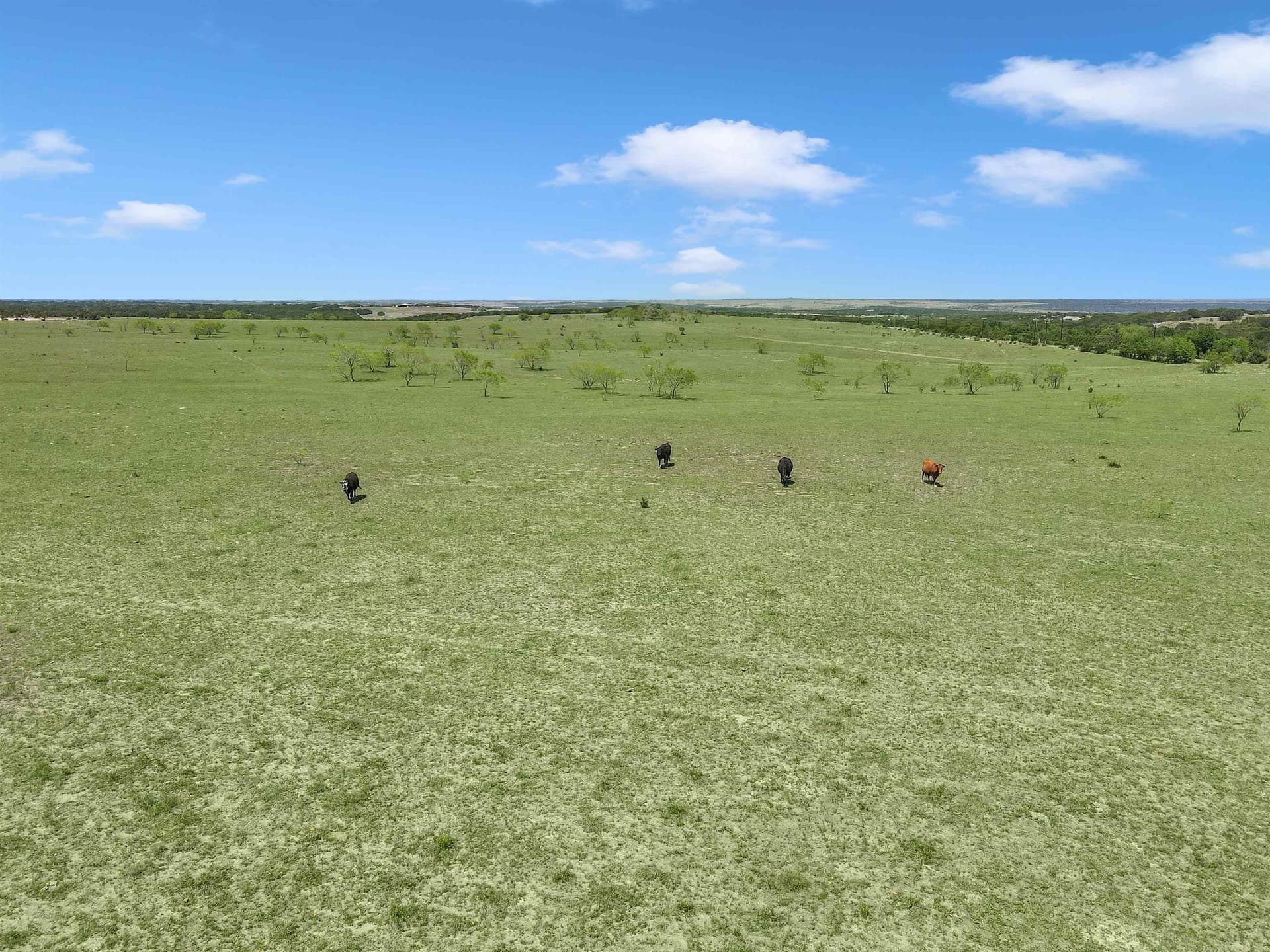 17.68 acres in Burnet County gallery image 4