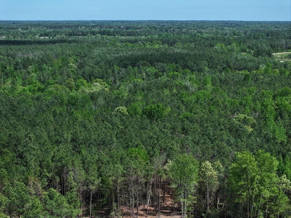 10.01 acres in Houston County featured view