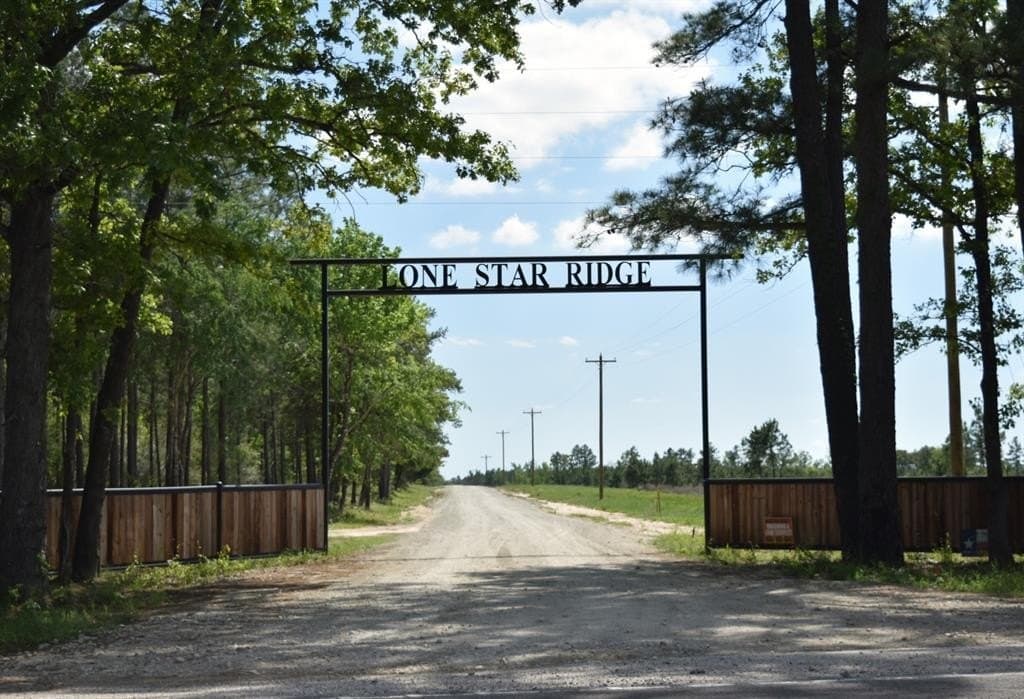 10.01 acres in Houston County gallery image 2