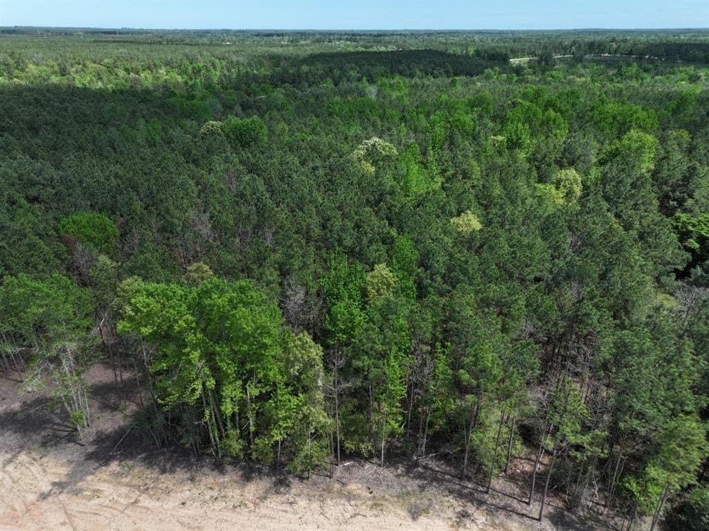 10.01 acres in Houston County gallery image 4