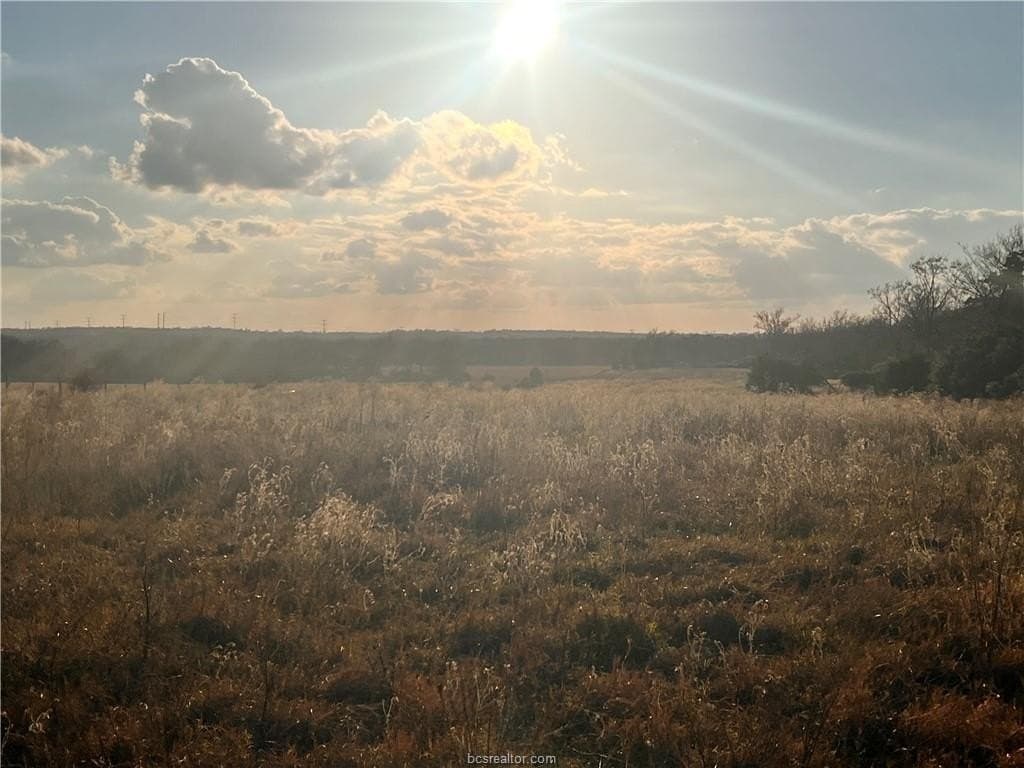 308.84 acres in Leon County - photo 19