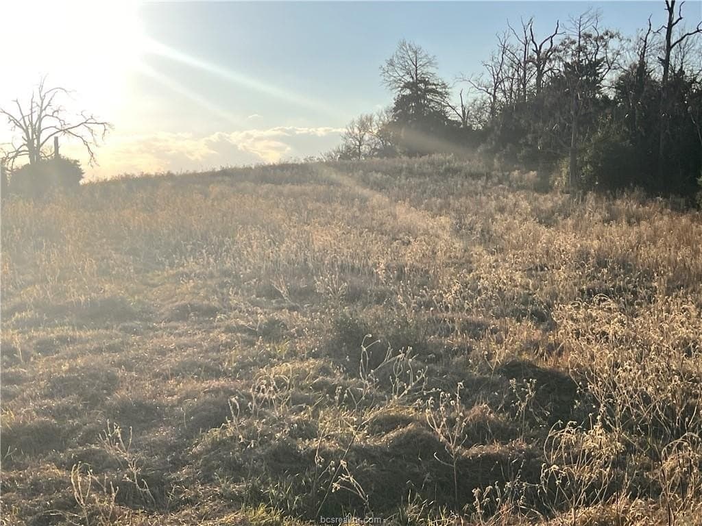 308.84 acres in Leon County - photo 11