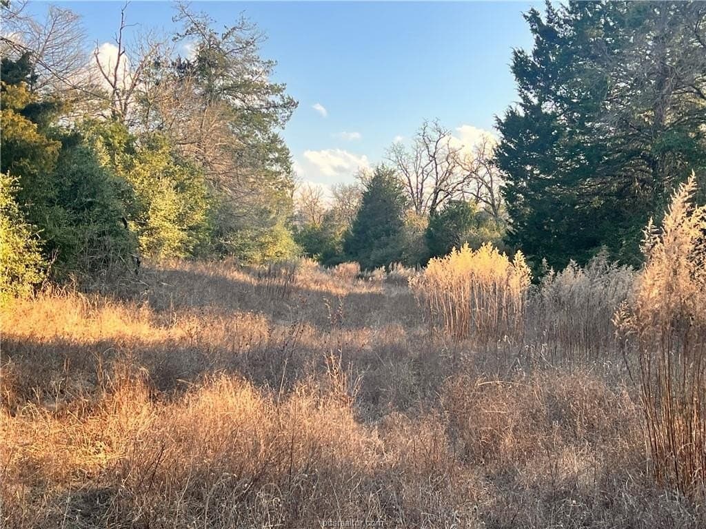 308.84 acres in Leon County - photo 14
