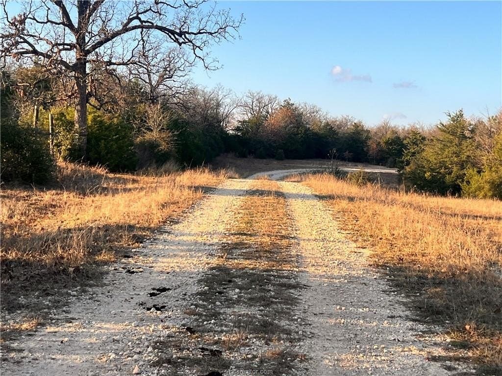 308.84 acres in Leon County - photo 20
