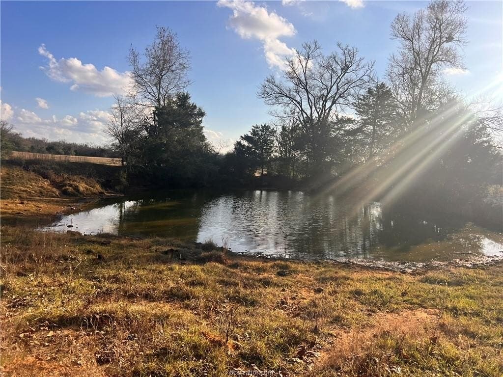 308.84 acres in Leon County - photo 7