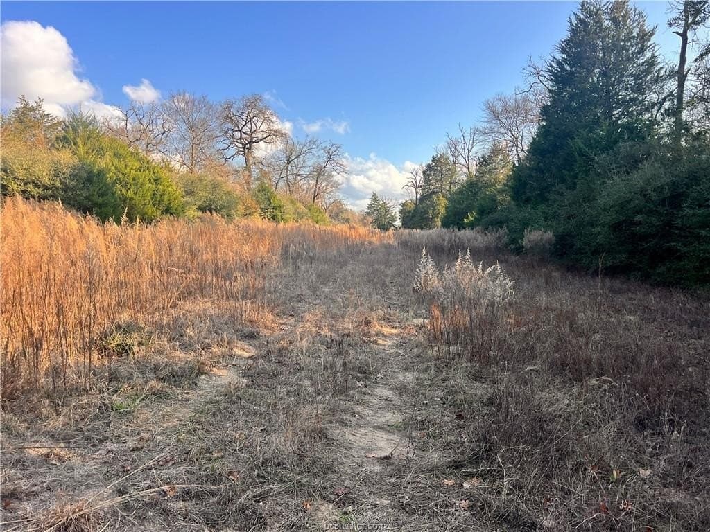 308.84 acres in Leon County - photo 15
