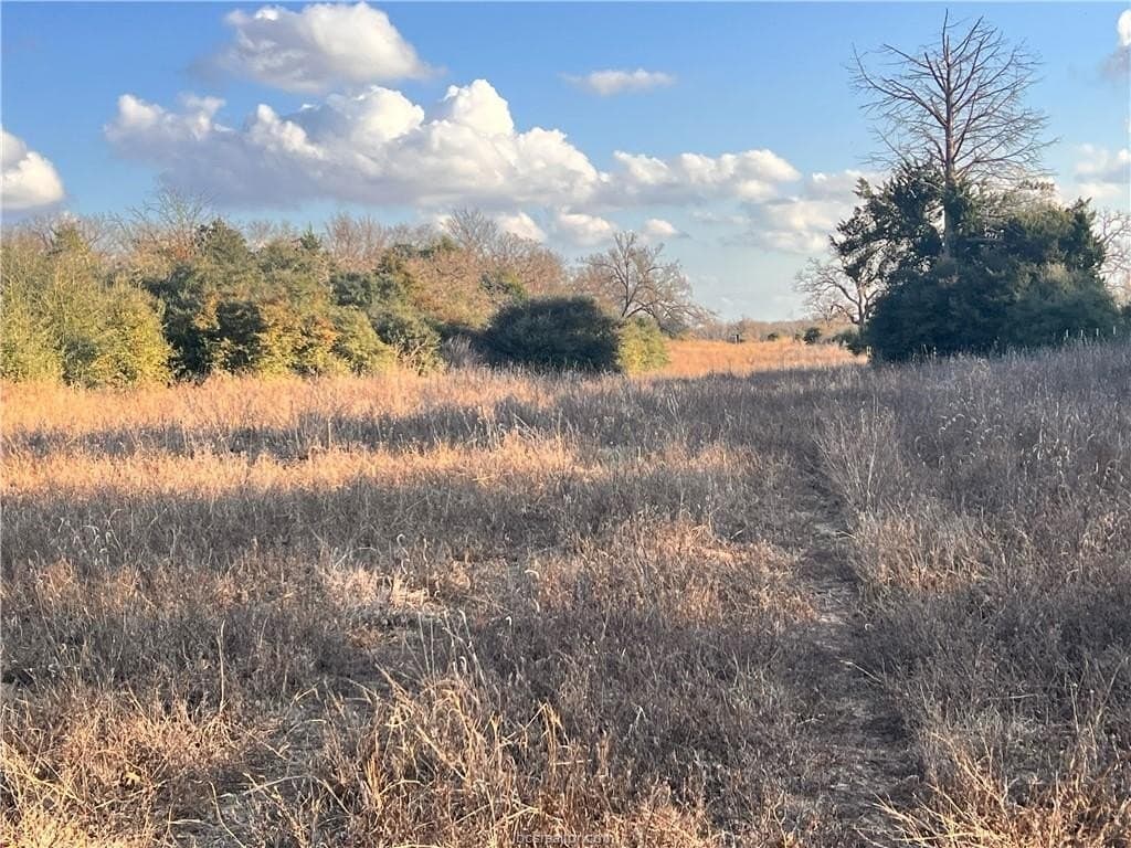 308.84 acres in Leon County - photo 17