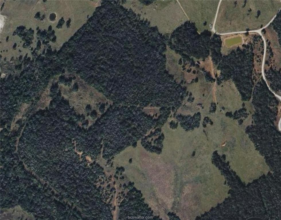 308.84 acres in Leon County - photo 22