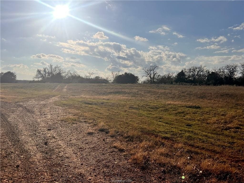 308.84 acres in Leon County - photo 6