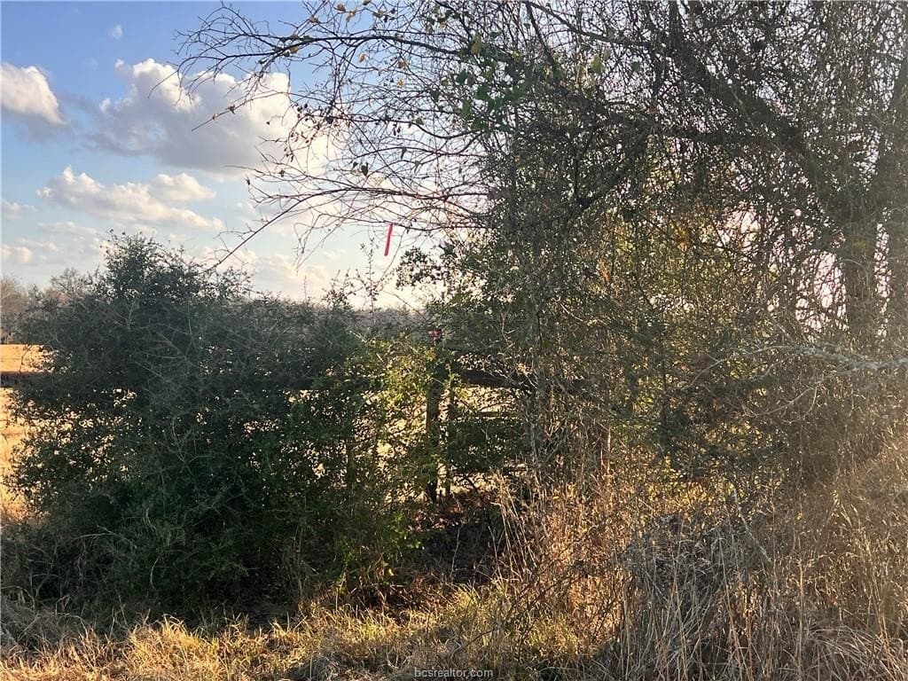 308.84 acres in Leon County - photo 18