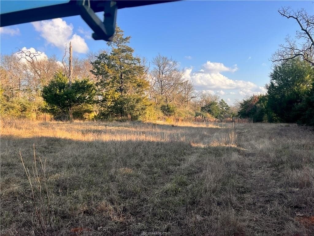 308.84 acres in Leon County - photo 16
