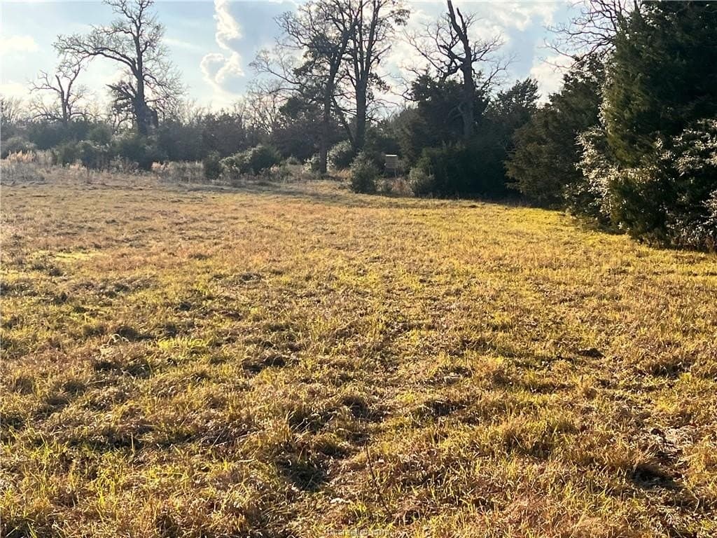 308.84 acres in Leon County - photo 8