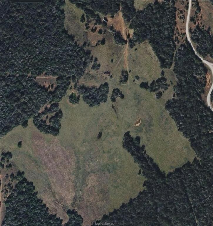 308.84 acres in Leon County - photo 21
