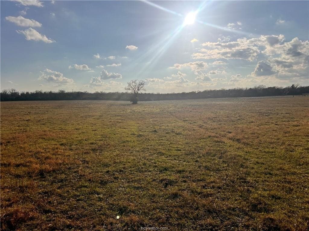 308.84 acres in Leon County featured view