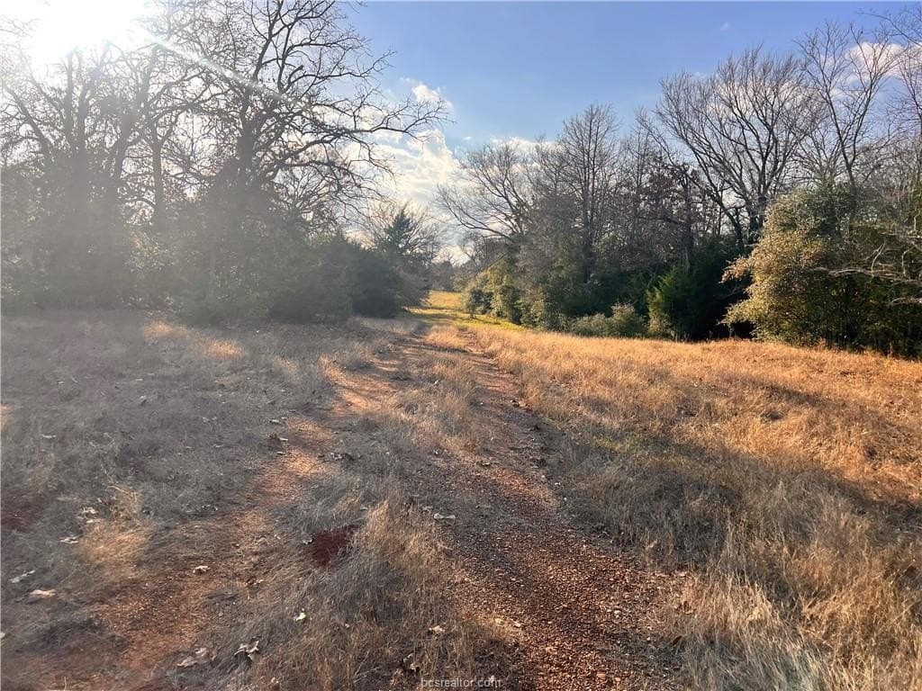 308.84 acres in Leon County - photo 12
