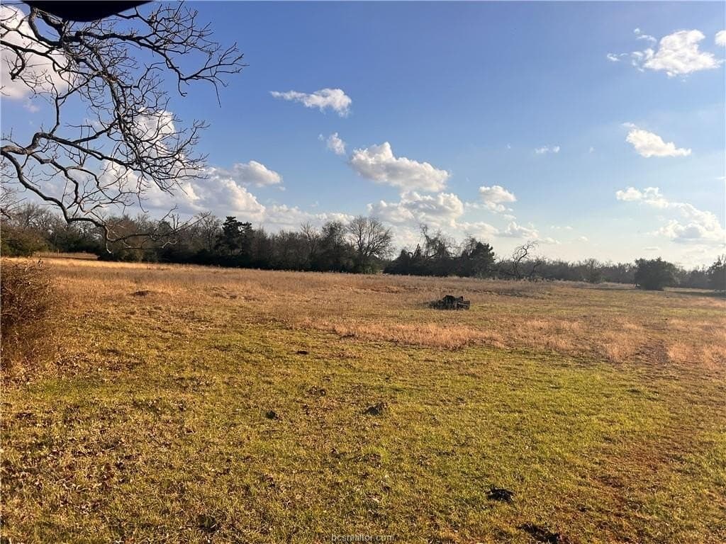 308.84 acres in Leon County - photo 9