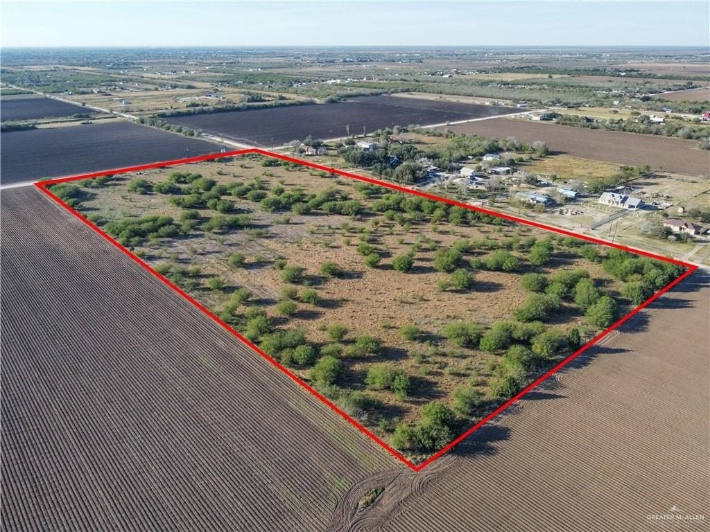 19 acres in Hidalgo County gallery image 4