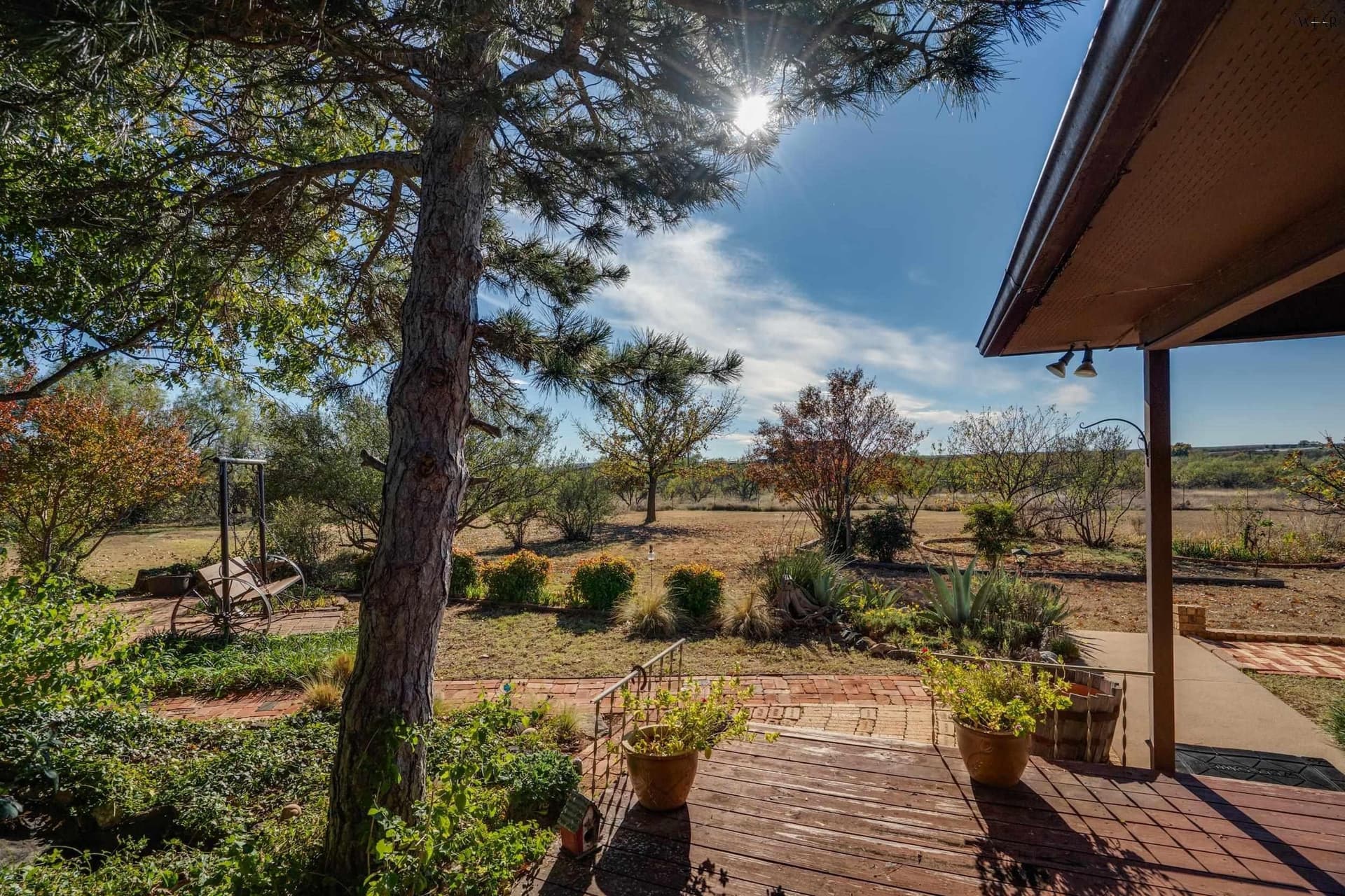 21.03 acres in Wichita County - photo 9