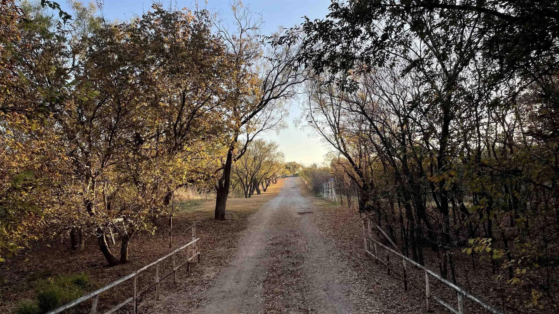 21.03 acres in Wichita County - photo 39
