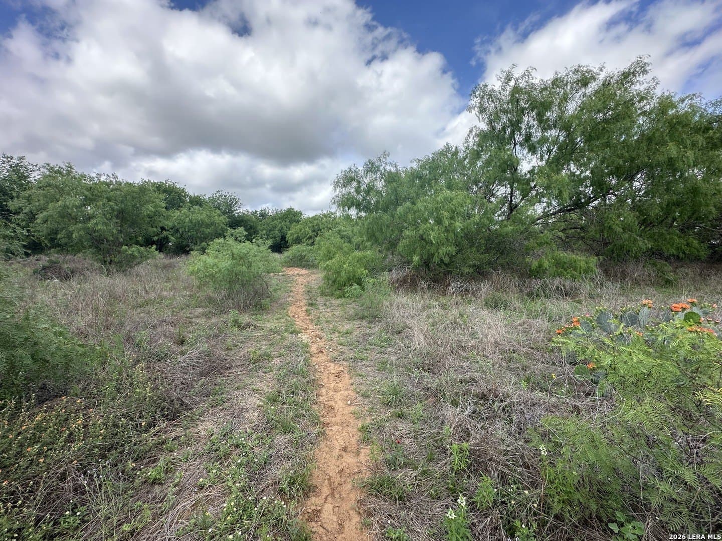 4.8 acres in Bexar County featured view