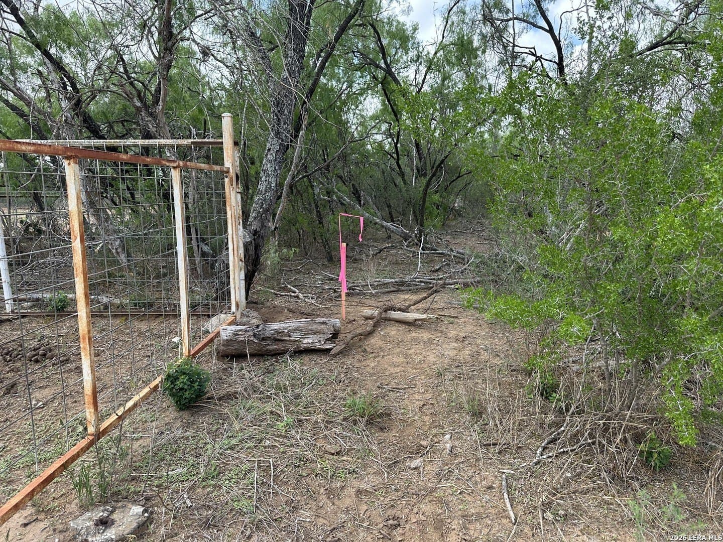4.8 acres in Bexar County - photo 7