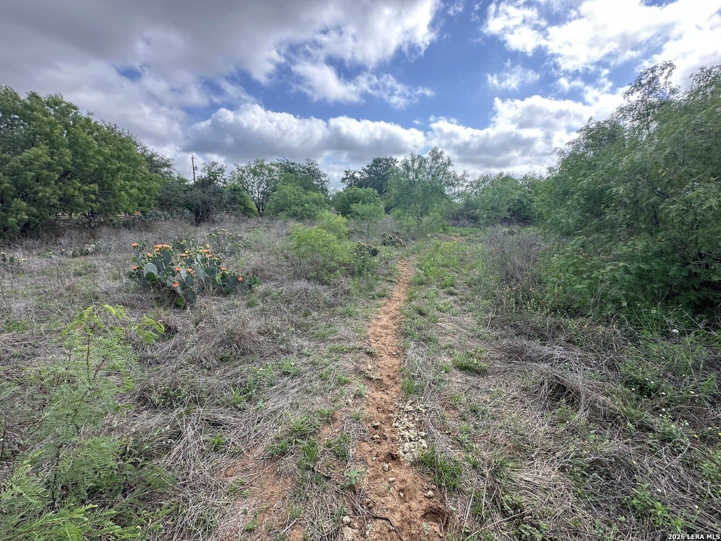 4.8 acres in Bexar County
