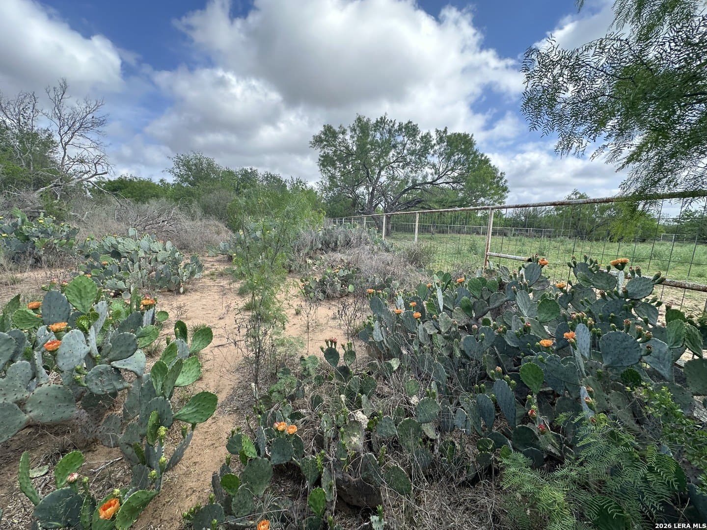 4.8 acres in Bexar County - photo 11