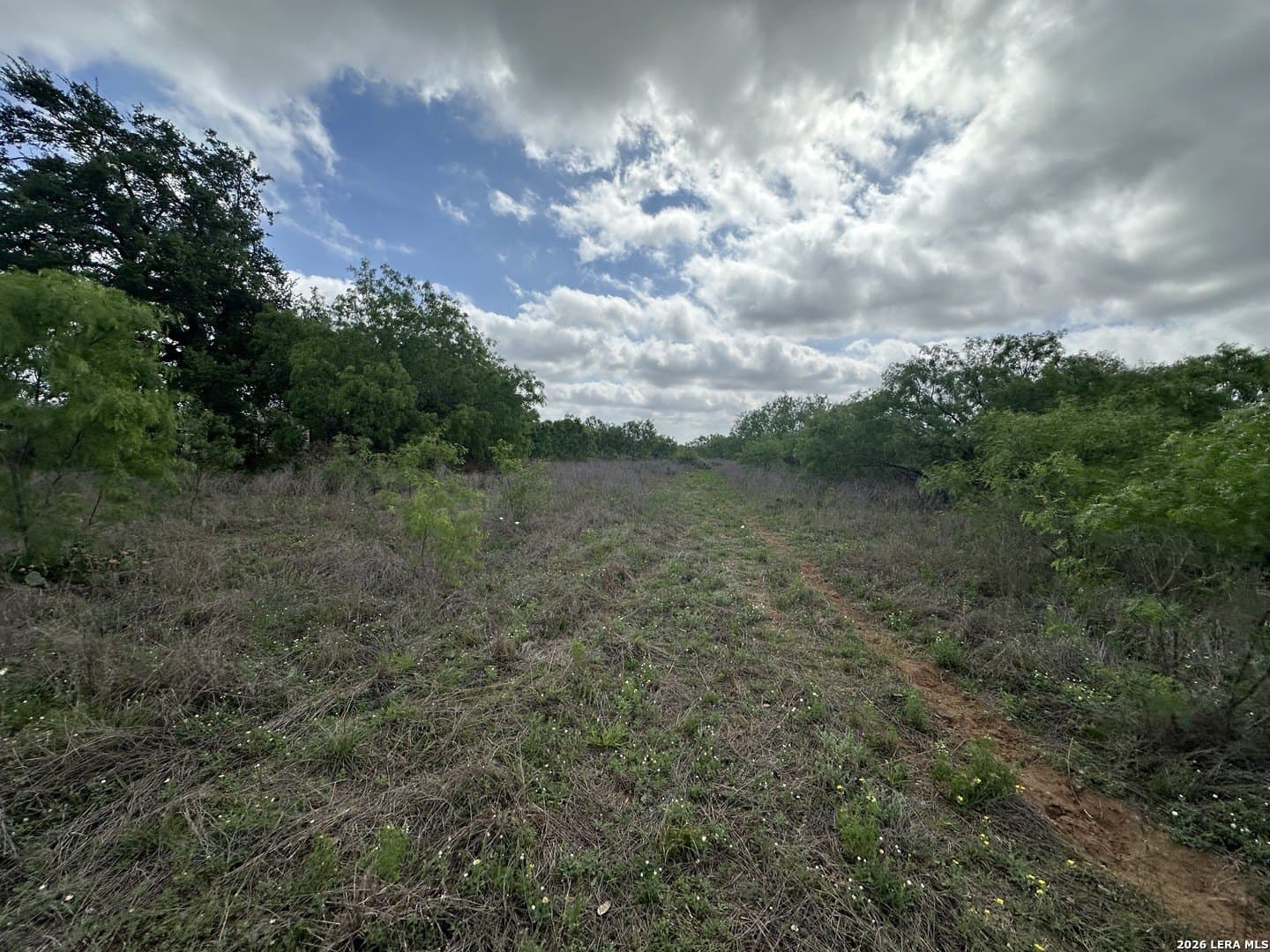 4.8 acres in Bexar County - photo 6
