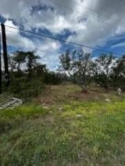 0.23 acres in Texas County