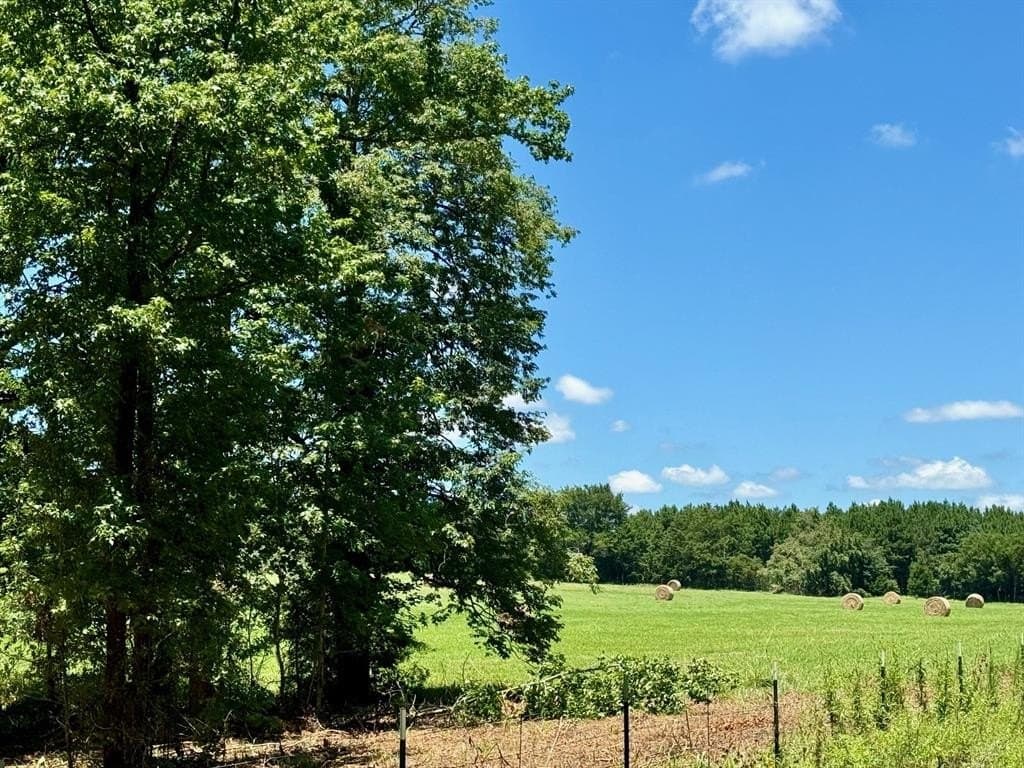 10 acres in Titus County featured view