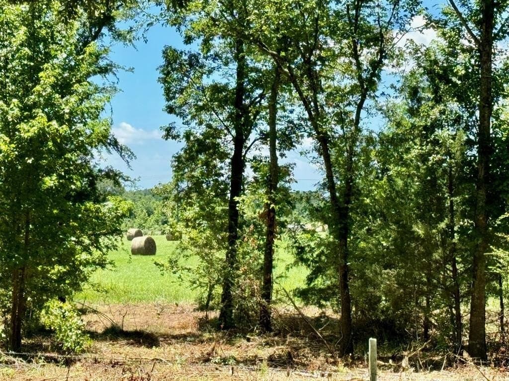 10 acres in Titus County gallery image 3