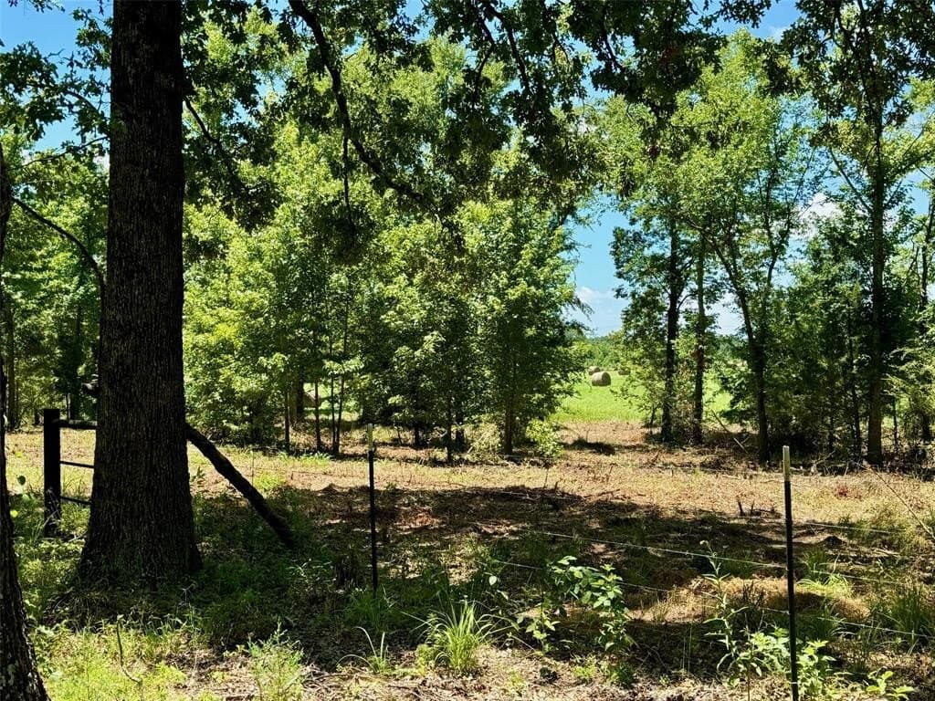 10 acres in Titus County gallery image 4