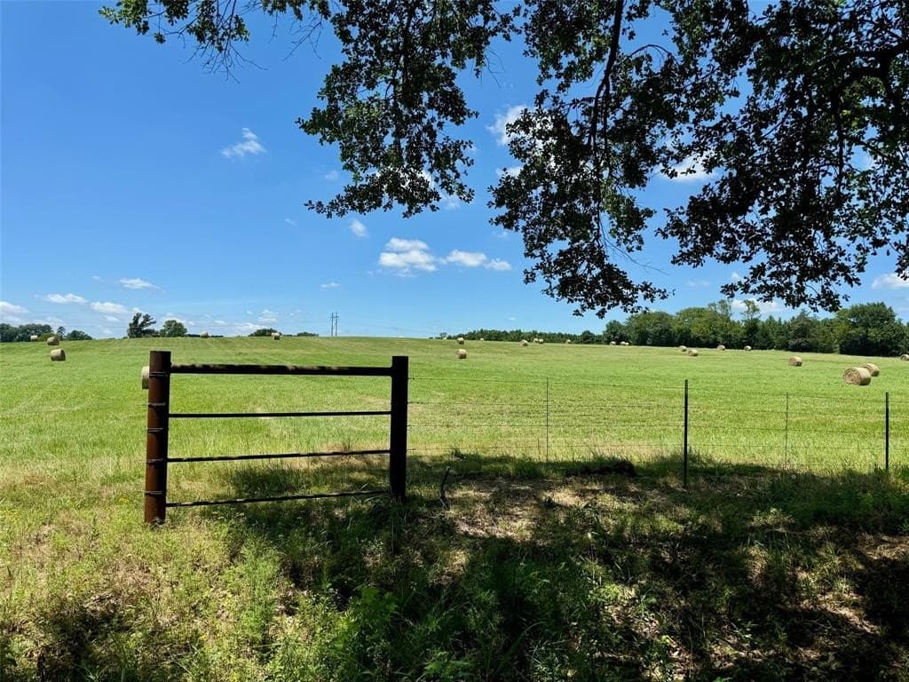 10 acres in Titus County gallery image 2