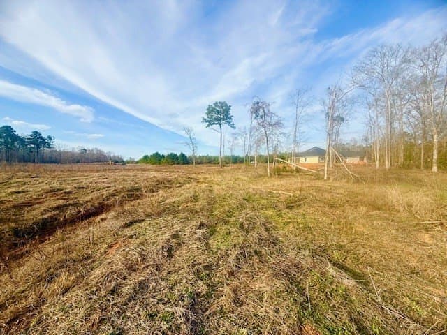 0.91 acres in Texas County gallery image 4