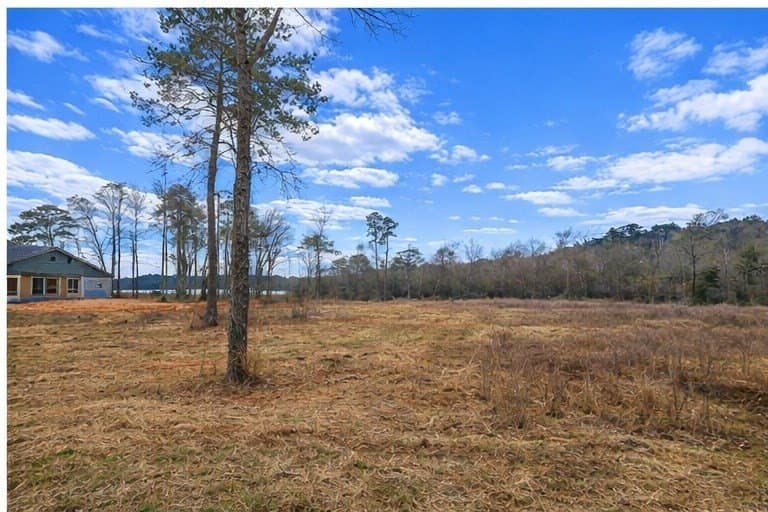 0.91 acres in Texas County - photo 8