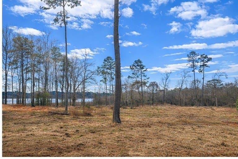 0.91 acres in Texas County - photo 6