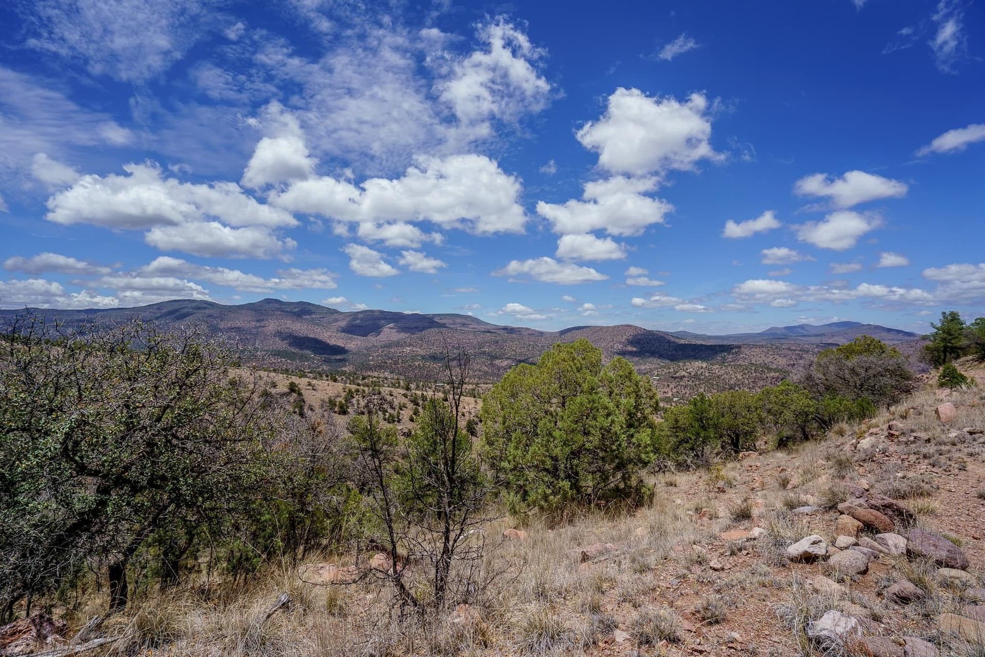 57.46 acres in Out of Area County - photo 24