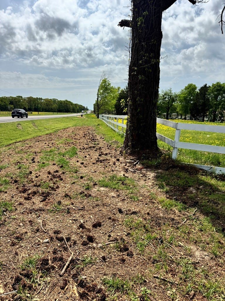 13.48 acres in Henderson County gallery image 3