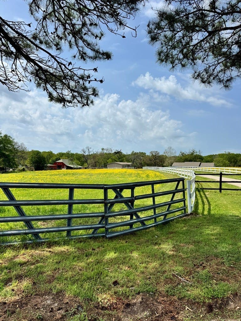 13.48 acres in Henderson County gallery image 4