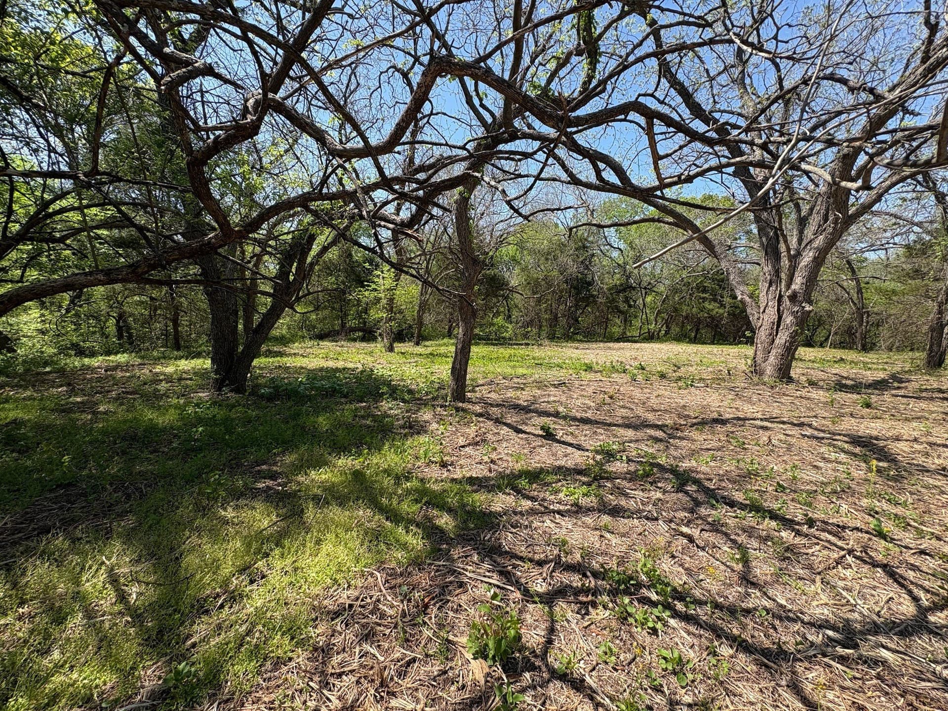 6.21 acres in Grayson County - photo 6