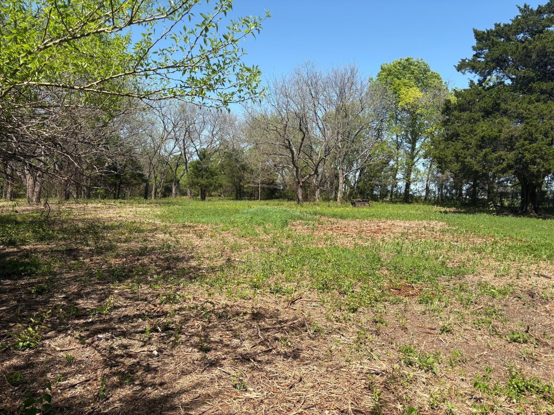 6.21 acres in Grayson County - photo 8