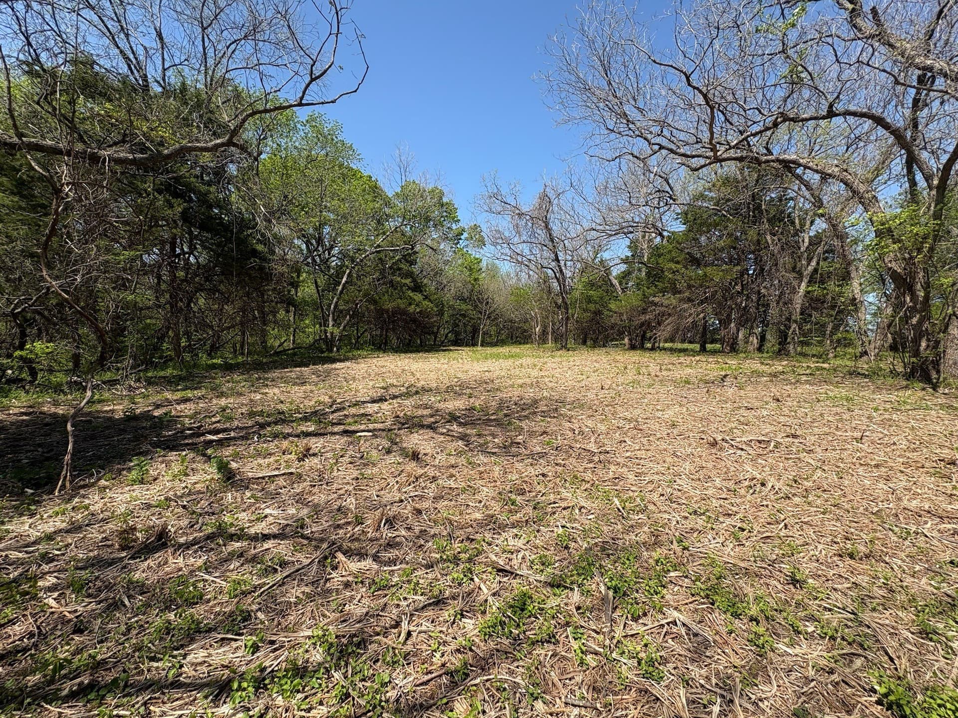 6.21 acres in Grayson County - photo 5