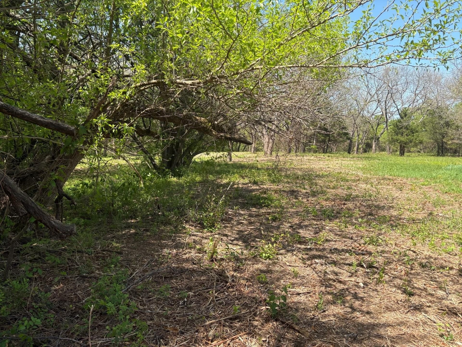 6.21 acres in Grayson County
