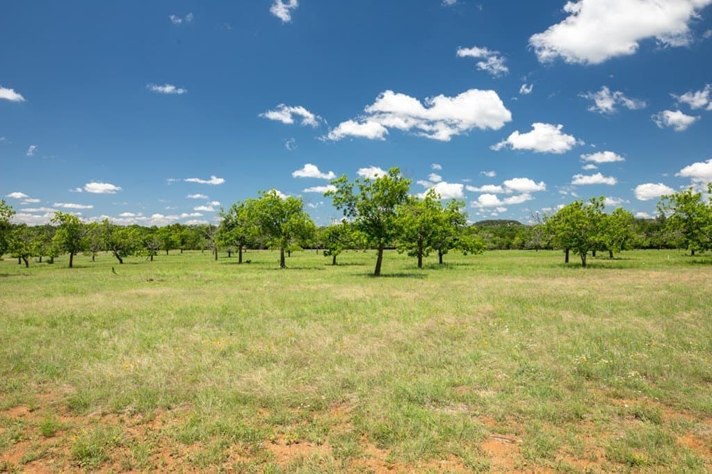10.26 acres in Gillespie County gallery image 4