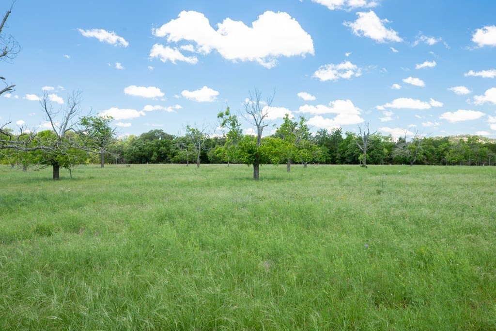 10.26 acres in Gillespie County - photo 6